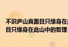 不识庐山真面目只缘身在此山中的诗句意思（不识庐山真面目只缘身在此山中的哲理）