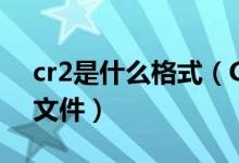 cr2是什么格式（CR2是佳能相机RAW格式文件）