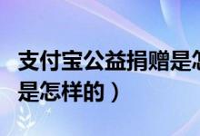 支付宝公益捐赠是怎么回事（支付宝公益捐赠是怎样的）