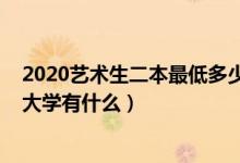 2020艺术生二本最低多少分（2022美术艺术生最低的二本大学有什么）