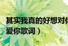 其实我真的好想对你说是什么歌（死心塌地去爱你歌词）