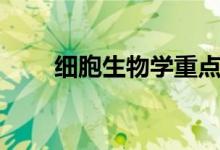 细胞生物学重点（都需要掌握什么）