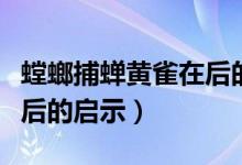 螳螂捕蝉黄雀在后的简笔画（螳螂捕蝉黄雀在后的启示）