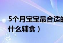 5个月宝宝最合适的辅食（5个月宝宝可以吃什么辅食）