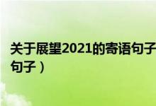 关于展望2021的寄语句子大全（新一年用心生活努力拼搏的句子）