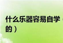 什么乐器容易自学（哪些乐器的比较容易自学的）