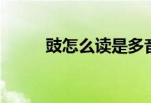 豉怎么读是多音字吗（豉怎么读）