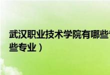 武汉职业技术学院有哪些专业课程（武汉职业技术学院有哪些专业）