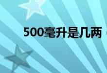 500毫升是几两（500毫升是多少斤）