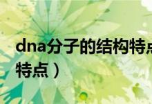 dna分子的结构特点及功能（dna分子的结构特点）