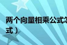 两个向量相乘公式怎么区分（两个向量相乘公式）