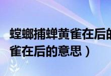 螳螂捕蝉黄雀在后的意思是什么（螳螂捕蝉黄雀在后的意思）