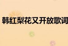 韩红梨花又开放歌词（梨花又开放整首歌词）