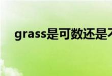 grass是可数还是不可数（grass可数吗）