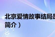 北京爱情故事结局是什么意思（北京爱情故事简介）