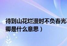 待到山花烂漫时不负春光不负卿是什么意思（不负春光不负卿是什么意思）