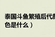 泰国斗鱼繁殖后代颜色（泰国斗鱼繁殖后代颜色是什么）