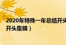 2020年特殊一年总结开头简短精辟（2020年特殊一年总结开头集锦）