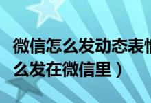 微信怎么发动态表情红包（动态表情红包要怎么发在微信里）