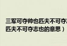 三军可夺帅也匹夫不可夺志也出自哪部典籍（三军可夺帅也匹夫不可夺志也的意思）