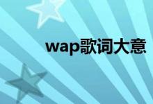 wap歌词大意（wap的歌词大意）