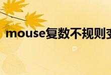 mouse复数不规则变化（mouse复数两种）