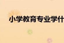 小学教育专业学什么科目（有哪些课程）