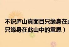 不识庐山真面目只缘身在此山中是谁写的（不识庐山真面目 只缘身在此山中的意思）