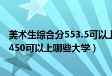 美术生综合分553.5可以上哪些大学（2022美术生高考分数450可以上哪些大学）