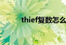 thief复数怎么理解（thief复数）