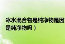 冰水混合物是纯净物是因为由同种分子构成吗（冰水混合物是纯净物吗）