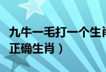 九牛一毛打一个生肖最佳答案（九牛一毛打一正确生肖）