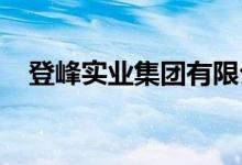 登峰实业集团有限公司幼儿园的地址在哪