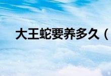 大王蛇要养多久（两种养殖模式来决定）