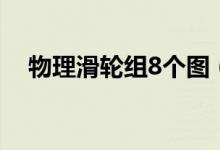 物理滑轮组8个图（物理滑轮组8个公式）