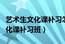 艺术生文化课补习怎么选（艺术生怎么选择文化课补习班）