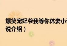 爆笑宠妃爷我等你休妻小说简介（爆笑宠妃爷我等你休妻小说介绍）