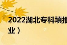 2022湖北专科填报志愿时间（专科怎样选专业）