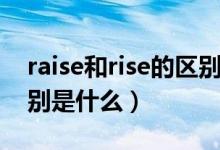 raise和rise的区别是什么（raise和rise的区别是什么）