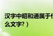 汉字中昭和通属于什么文字体系（汉字属于什么文字?）