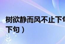 树欲静而风不止下句是什么（树欲静而风不止下句）