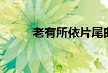 老有所依片尾曲（完整歌词介绍）