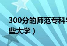 300分的师范专科学校有哪些（2021能上哪些大学）