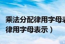 乘法分配律用字母表示括号怎么读（乘法分配律用字母表示）