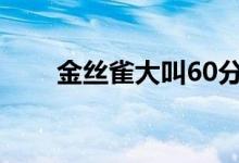 金丝雀大叫60分钟无杂音（金丝雀）