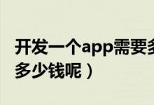 开发一个app需要多少钱（开发一个app需要多少钱呢）