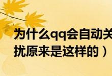 为什么qq会自动关闭消息免打扰（消息免打扰原来是这样的）