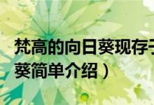 梵高的向日葵现存于哪个博物馆（梵高的向日葵简单介绍）