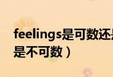 feelings是可数还是不可数（feeling可数还是不可数）