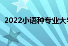 2022小语种专业大学排名（哪个大学最好）